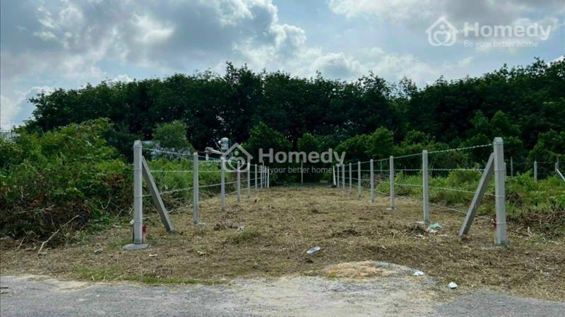 Cần tiền làm ăn nên bán lại lô đất vườn liền kề, xã Trung Lập Thượng, Củ Chi, Hồ Chi Minh - Ảnh 2