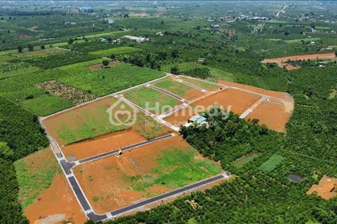 490 triệu là sở hữu lô đất tại Bảo Lộc. Full thổ 