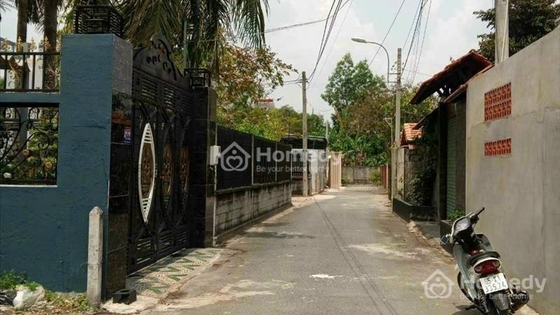 kẹt tiền bán gấp lô đất 123m2 giá 490tr tại phước vĩnh an , củ chi gọi xem đất - Ảnh 2