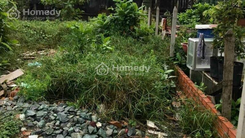 kẹt tiền bán gấp lô đất 123m2 giá 490tr tại phước vĩnh an , củ chi gọi xem đất - Ảnh 3