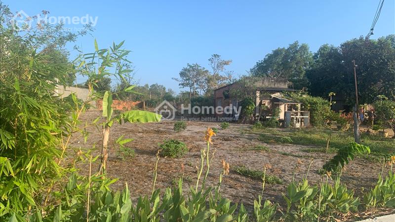 Bán 222m2 đất ONT Tân Bình - TX LaGi giá ngộp 1.2 tỷ Đường bê tông - Ảnh 2