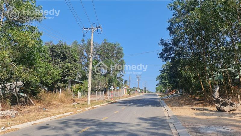 Bán 12 x 50 đất MT Trưng Nhị - Tân An - TX LaGi giá mềm 320tr/m ngang  - Ảnh 1