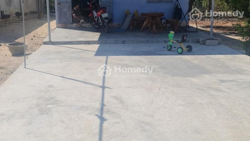 🔵 5x31(158,8m2)đất hẻm trưng trắc, kp8, P.Tân An, Tx LaGi Giá  900 triệu - Ảnh 2