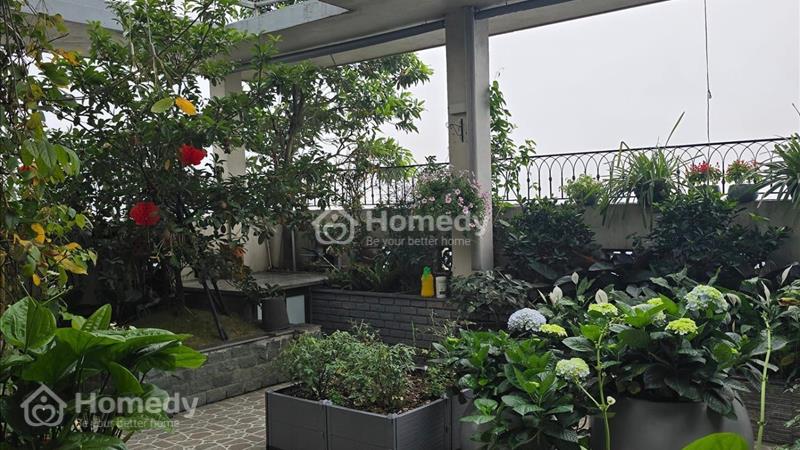 Bán penthouse sân vườn 250m2 chung cư Thăng Long Garden 250 Minh Khai full nội thất  - Ảnh 1
