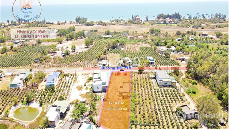 Bán nhanh lô 20m MT ĐT 719 Tân Thành Hàm Thuận Nam, dân cư hiện hữu, đầu tư du lịch - Ảnh 1
