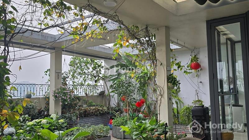 Bán penthouse sân vườn 250m2 chung cư Thăng Long Garden 250 Minh Khai full nội thất  - Ảnh 2