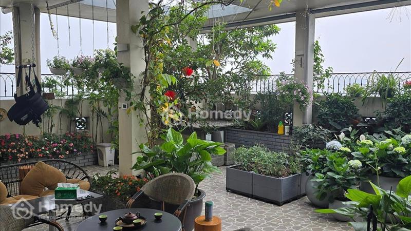 Bán penthouse sân vườn 250m2 chung cư Thăng Long Garden 250 Minh Khai full nội thất  - Ảnh 4