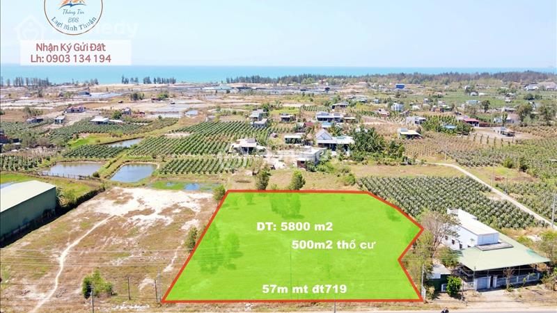 Bán 5800m2 đất có 500 thổ cư mt đường 719 dễ mua bán làm ăn - Ảnh 1