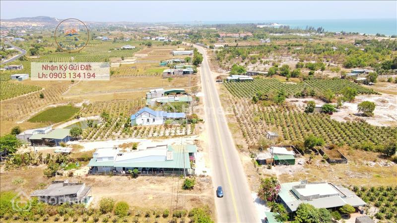 Bán nhanh lô 20m MT ĐT 719 Tân Thành Hàm Thuận Nam, dân cư hiện hữu, đầu tư du lịch - Ảnh 4