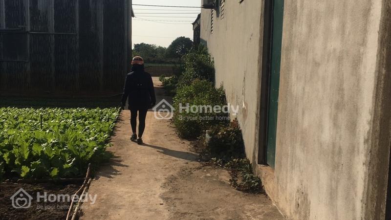 Bán đất chính chủ Huyện Thường Tín - Hà Nội giá 16 Triệu/ M2 - Ảnh 4
