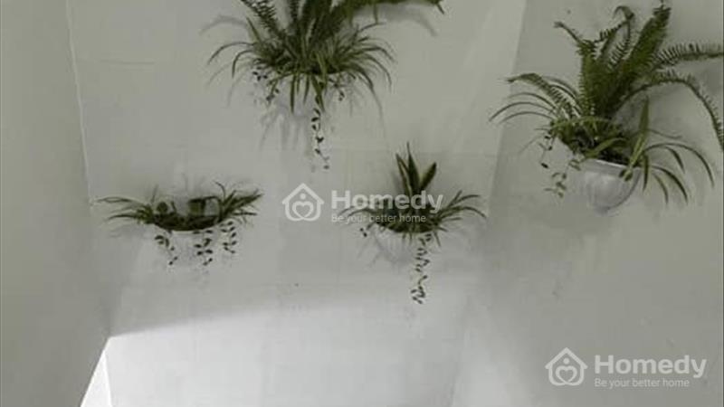 Bán nhà 2mt trước sau tô hiến thành quận 10, hẻm 3m - Ảnh 3