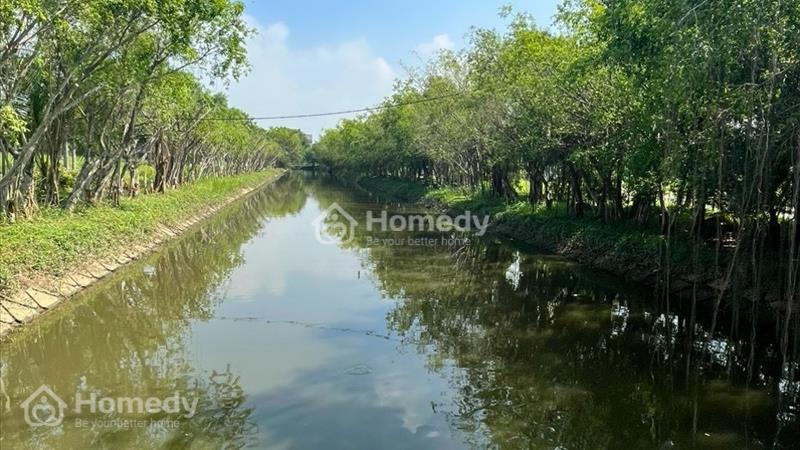 Bán đất Phú Xuân Vạn Phát Hưng giá tốt, đón đầu đường 15B và cầu Cần Giờ, tiềm năng tăng giá cao - Ảnh 6
