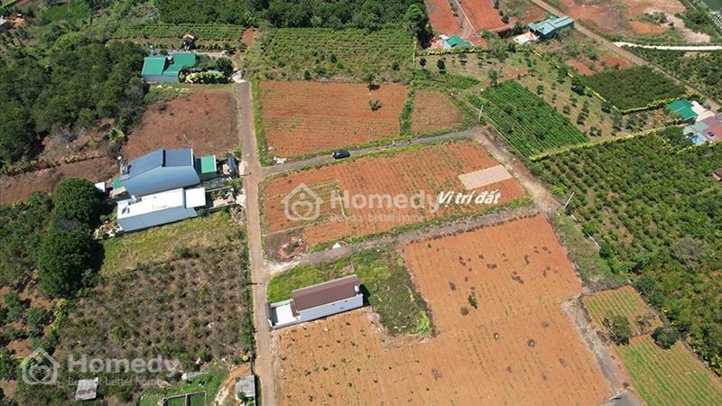 Đất View đẹp, Phường 2, Bảo Lộc. Thổ cư sẵn, Xây dựng ngay giá 1.49 Tỷ - Ảnh 6