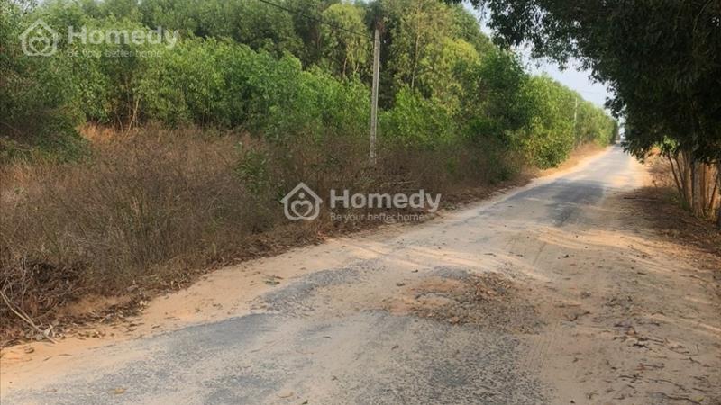 Bán 19 x 44 đất Đường Lý Nam Đế, Tân Phước, thị xã LaGi giá đầu tư 79tr/m ngang - Ảnh 3