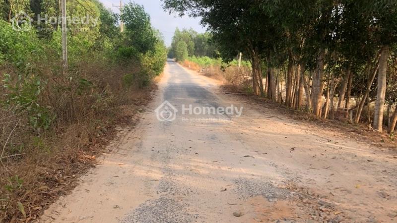 Bán 19 x 44 đất Đường Lý Nam Đế, Tân Phước, thị xã LaGi giá đầu tư 79tr/m ngang - Ảnh 8