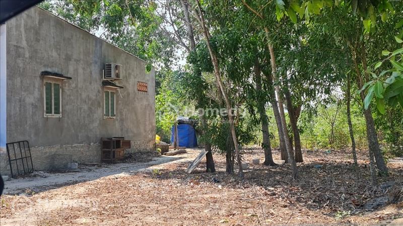 Bán Nhà 5 x 31 Tân An, Thị xã LaGi giá siêu ngợp 900 triệu đường bê tông - Ảnh 3