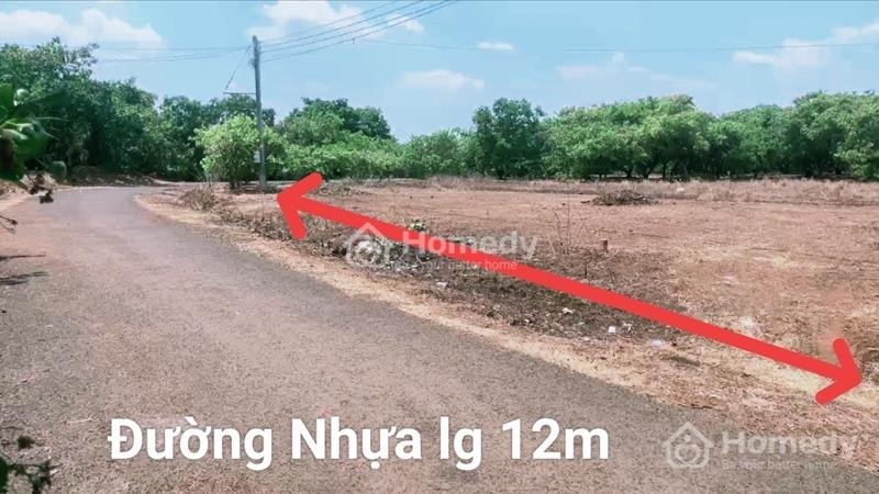 Đất nền thổ cư Bình Phước giá rẻ - chỉ 175 triệu ( bao sổ ) - Ảnh 1