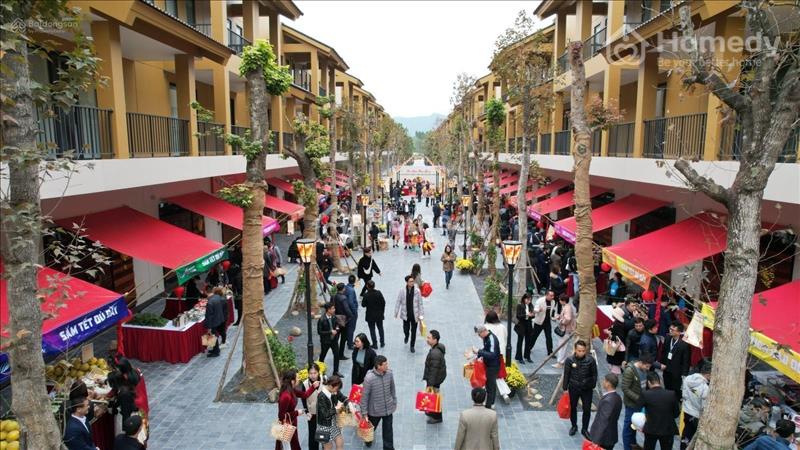 Mở bán biệt thự Wyndham Thanh Thủy bàn giao full nội thất phong cách nhật 7 tỷ. CK 38%  - Ảnh 5