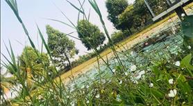 Bán siêu biệt thự đơn lập góc công viên, cạnh sông, View hồ, Park Riverside quận 9 - Ảnh 7