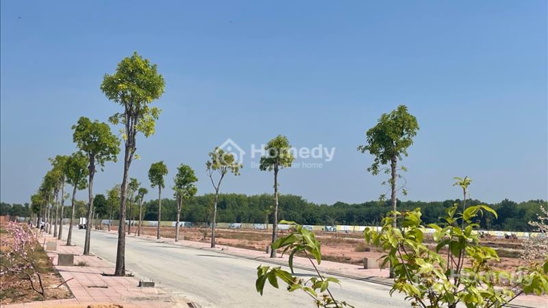 Bán lô đất 75m2 mặt tiền đường ĐT741,trả trước 384tr, hỗ trợ vay ngân hàng - Ảnh 13