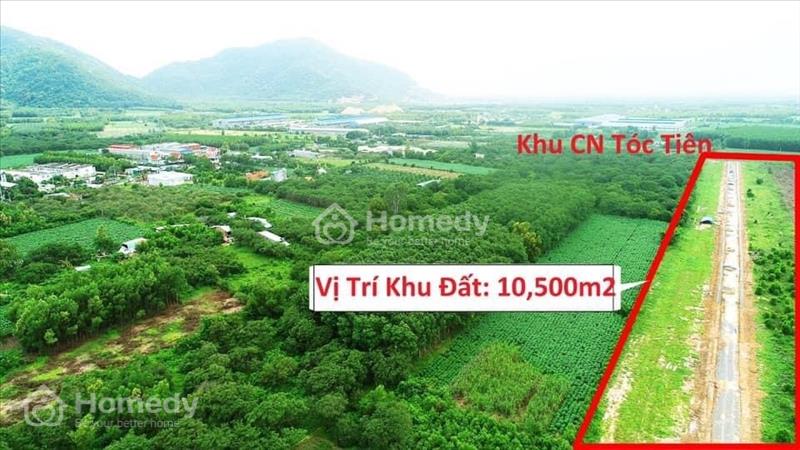 Chính chủ cần bán đất 2 mặt tiền đường 32m/đường500m Hắc Dịch-Tóc Tiên - Ảnh 1