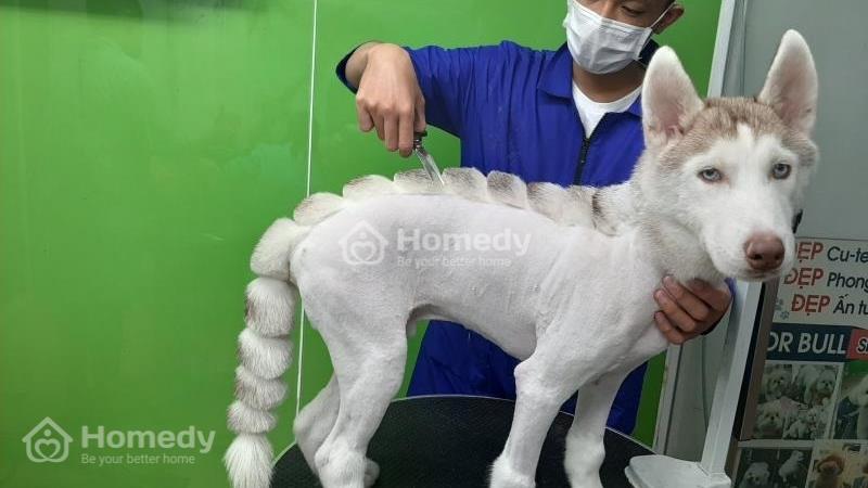 Cho thuê nhà mặt phố Quận 1 - TP Hồ Chí Minh giá thỏa thuận - Ảnh 3