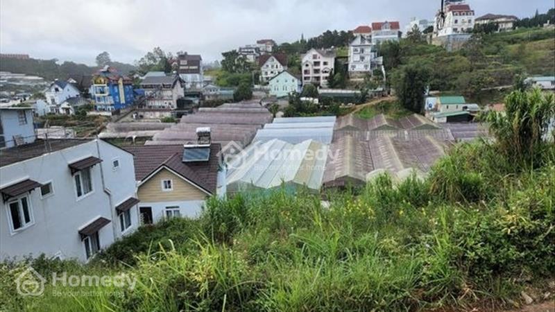Loa Loa - Bán gấp Đất nền Biệt Thự view thoáng KQH Nguyễn Hoàng, Đà Lạt giá chỉ 3.3 tỷ   - Ảnh 1