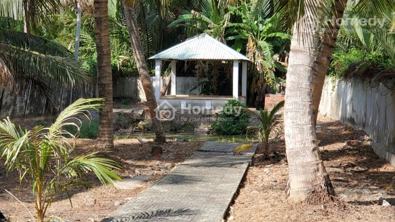 Chính chủ cần bán gấp nhà cấp 4 và sân vườn tại Trà Vinh - Ảnh 14