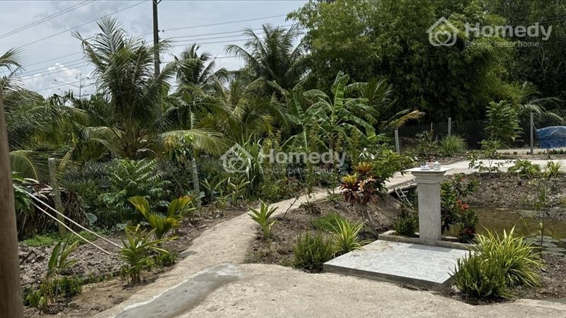 Bán đất xã Vĩnh Hòa Hưng Bắc tỉnh Kiên Giang 300m² thổ cư, xe ôtô đến đất. Cách chợ Ba Hồ 250m - Ảnh 4