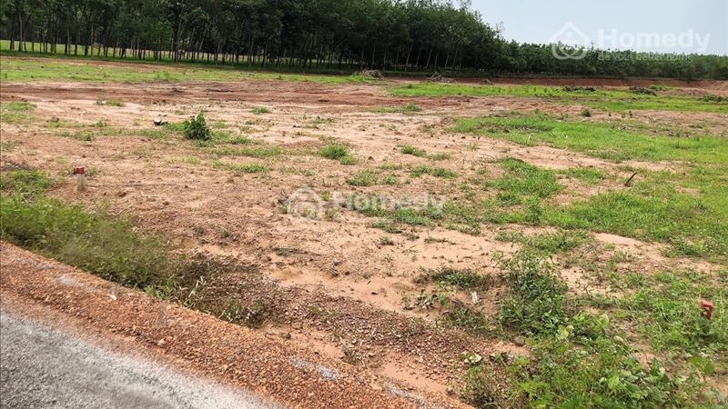 Đất thổ cư đường số 1 (lộ giới 29m) KCN Nam Đồng Phú giá 590 triệu, DT 250m². Shr - Ảnh 2