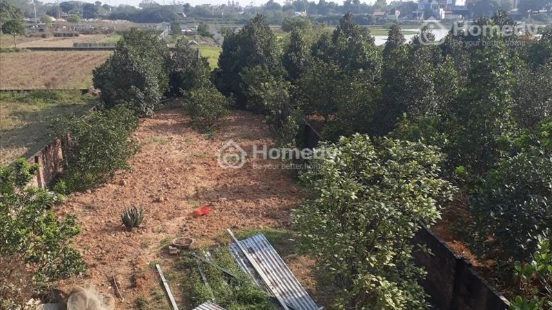 Chính chủ cho thuê đất làm kho xưởng Chương Mỹ Hà Nội 600m2 giá 5 tr/th - Ảnh 5