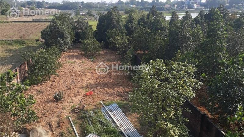 Chính chủ cho thuê đất làm kho xưởng Chương Mỹ Hà Nội 600m2 giá 5 tr/th - Ảnh 5