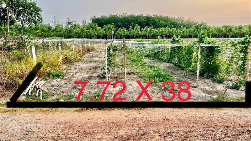 Chính chủ gởi Bán Lô Đất Thành Phố Bến Cát- Đường Hoà Lợi 007 Đi vào - Ảnh 2