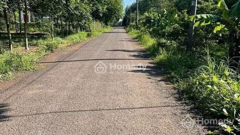 Kẹt tiền bán gấp lô 250m² đường số 1 KCN Becamex Đồng Phú. Giá chỉ 629 triệu bao sổ - Ảnh 3