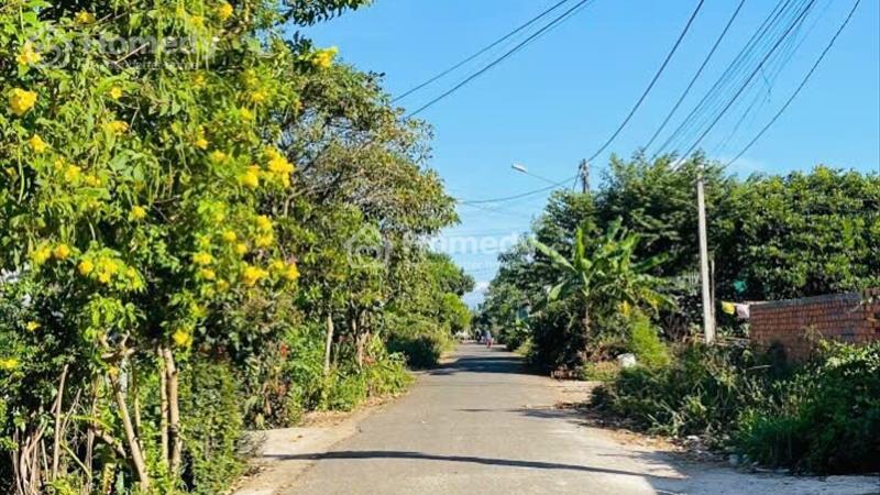 Chính chủ cần bán hẻm c1 nguyễn thị địnhGần tỉnh lộ - Ảnh 3