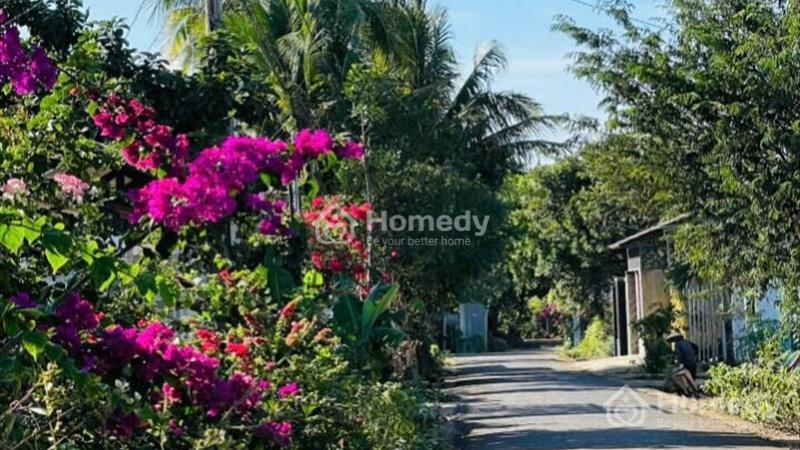 Chính chủ cần bán hẻm c1 nguyễn thị địnhGần tỉnh lộ - Ảnh 1