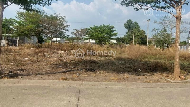 Chủ giảm giá bán lỗ lô đất 200m2(10x20) thổ cư 100% đường bê tông 8m,dân đông đúc - Ảnh 2