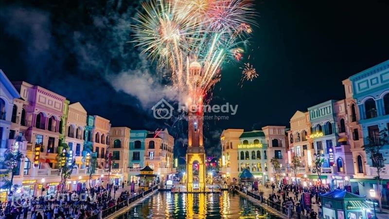 Bán Tứ Lập Hải Âu_120m2_Rộng rãi_ VIP nhất Vinhomes Ocean Park 2 - Ảnh 6