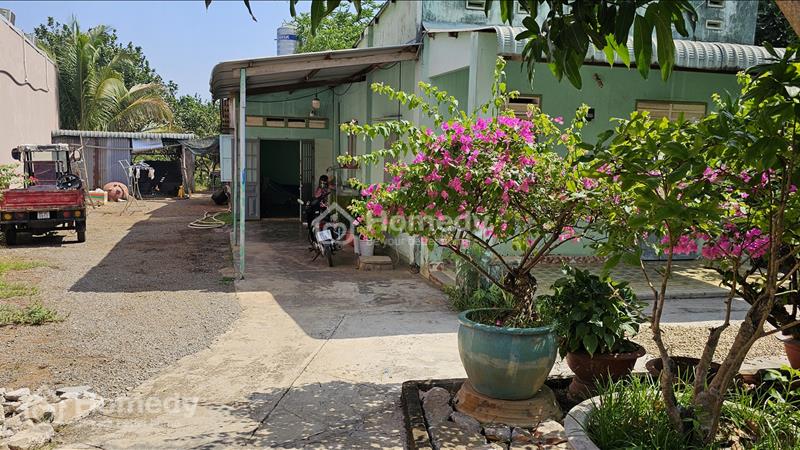 Chính chủ Cần bán đất nhà vườn chính chủ ở hưng thịnh trảng bom đồng nai - Ảnh 1