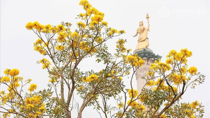 Là 2 khu trong tổng 10 khu biệt lập riêng biệt của Đại dự án Vinhomes Ocean Park 2,3 - Ảnh 2