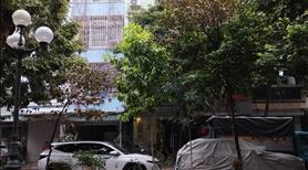 Cần bán đất khu TĐC TU Hoàng, S41m, MT 3,2m, hướng Nam, View Vườn Hoa. giá nhỉnh 5 tỷ - Ảnh 2