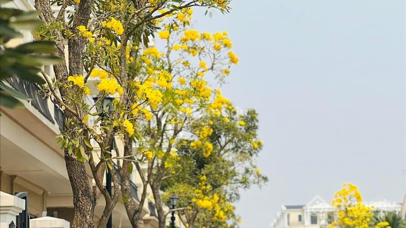 Là 2 khu trong tổng 10 khu biệt lập riêng biệt của Đại dự án Vinhomes Ocean Park 2,3 - Ảnh 4