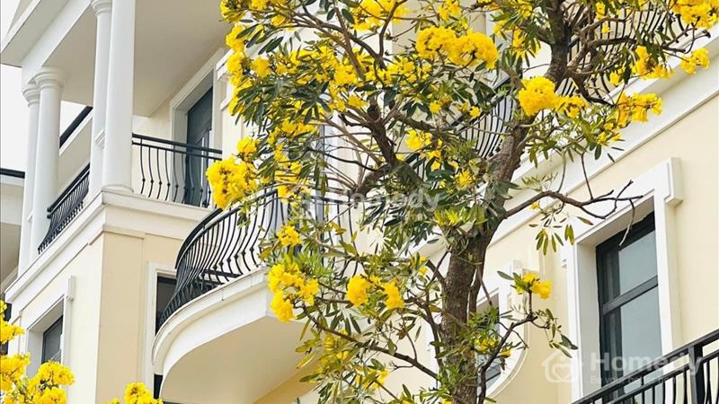 Là 2 khu trong tổng 10 khu biệt lập riêng biệt của Đại dự án Vinhomes Ocean Park 2,3 - Ảnh 5
