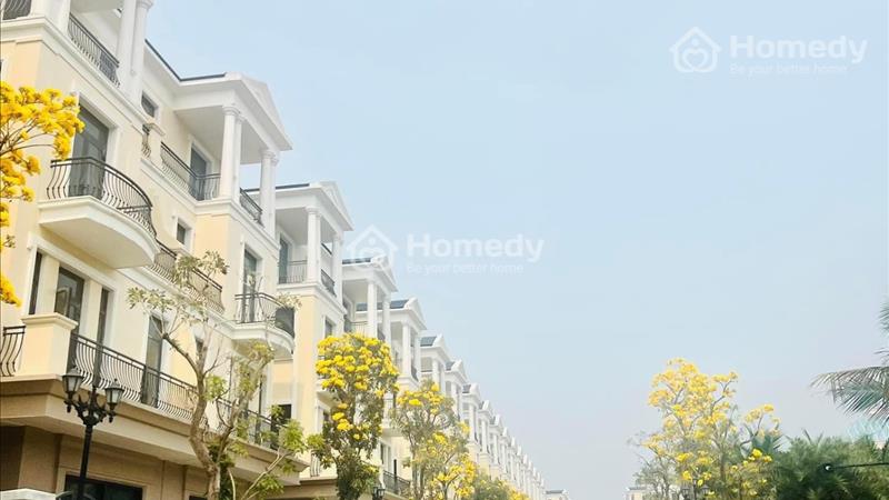 Là 2 khu trong tổng 10 khu biệt lập riêng biệt của Đại dự án Vinhomes Ocean Park 2,3 - Ảnh 6