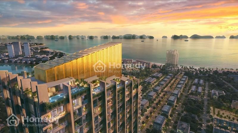 Mua là Lời  - Suất đầu tư nhỏ - Lợi nhuận cao với Dự án Icon40 - Ảnh 2