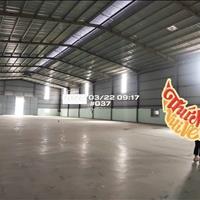 Chủ cho thuê xưởng sản xuất