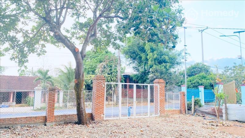 Diên Xuân - Diên Khánh lô đất rất đẹp cần bán giá rẻ - Ảnh 2