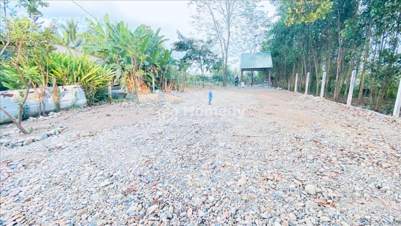 Diên Xuân - Diên Khánh lô đất rất đẹp cần bán giá rẻ - Ảnh 4