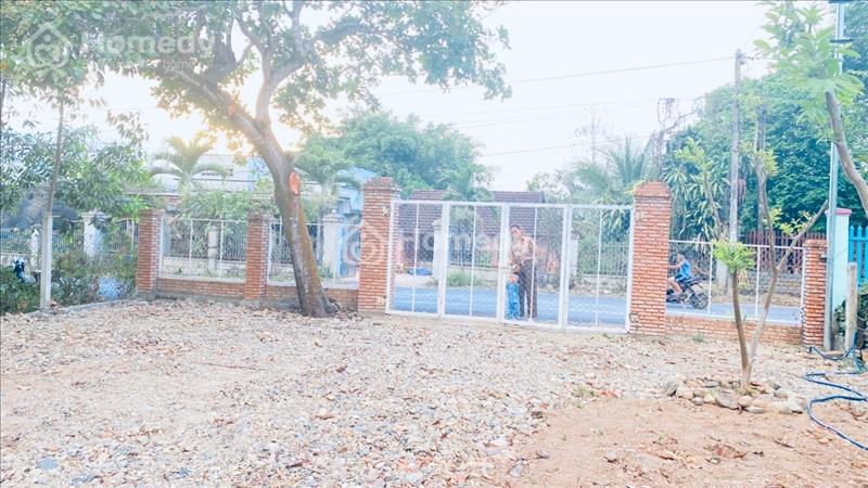 Diên Xuân - Diên Khánh lô đất rất đẹp cần bán giá rẻ - Ảnh 3