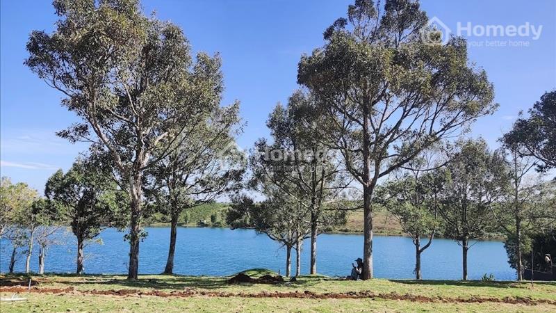 Đất Hồ Cánh Bướm- Bảo Lộc, Đất ở đô thị, Đối diện Olala Camping, Cụm tập trung nhiều KDL, Homestay - Ảnh 4